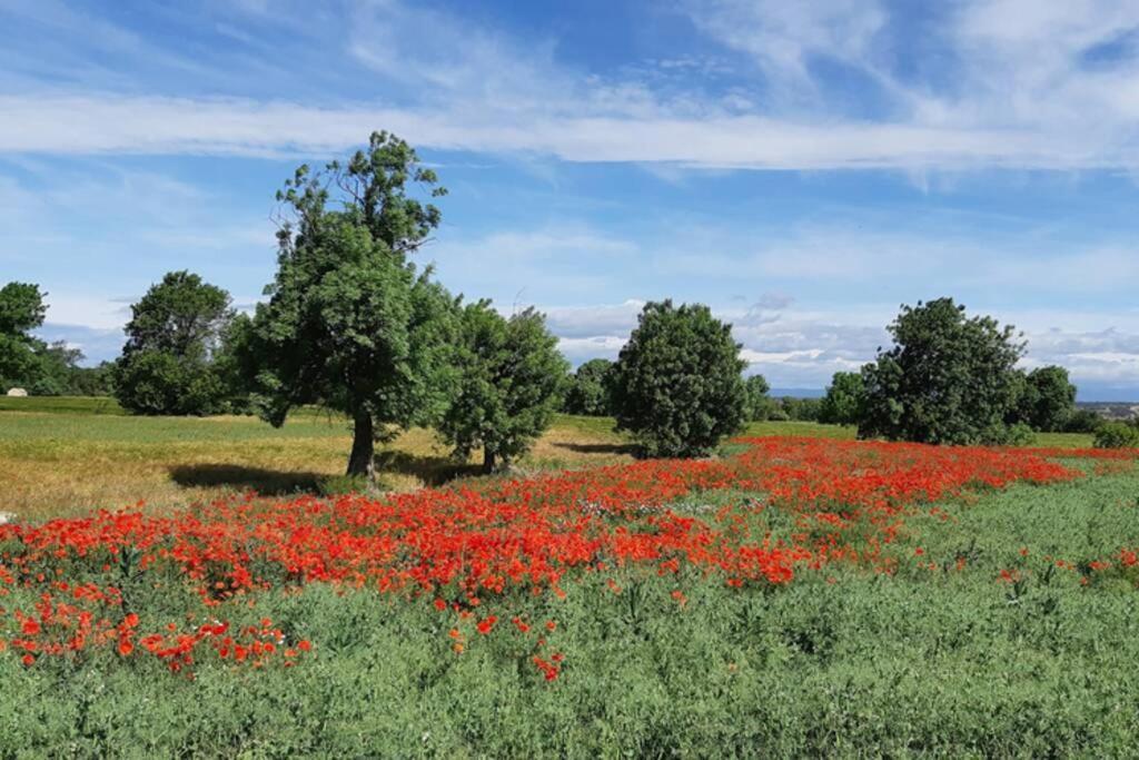 Cal Bello Casa Rural Lleida Eksteriør billede